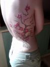cherry blossom tree tats